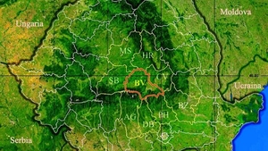 Rezultate Evaluarea Națională 2019 (Capacitate) Brașov