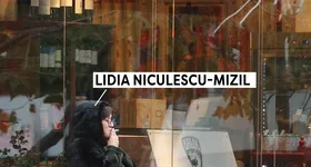 Galerie foto - poza 2