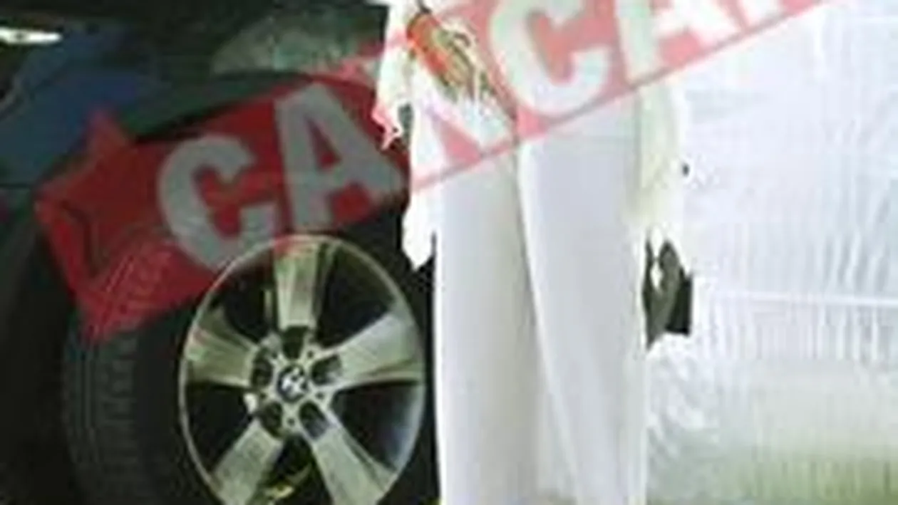 Bianca Brad, indoliata dupa fetita ei