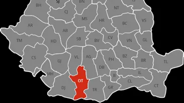 Rezultate Evaluarea Națională 2019 (Capacitate) Olt