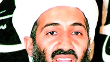 L-au incoltit cu dulai cu colti din titan