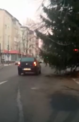 Imaginile zilei | Un brad de Crăciun, înalt de câțiva metri, blochează trecerea pe două benzi
