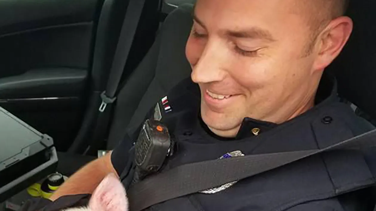 Gestul emoţionant făcut de acest poliţist aflat în misiune a topit inimile tuturor! S-a dat rapid jos din maşină când a observat ceva suspect pe autostradă