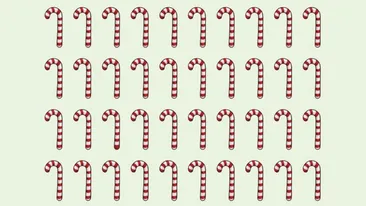 Test de perspicacitate | Care acadea de Crăciun este diferită de toate celelalte?