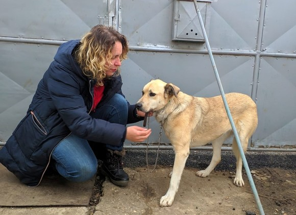 Unde a ajuns Bonnie, cățelușa Cristinei Țopescu? Animalul a fost găsit la pieptul jurnalistei