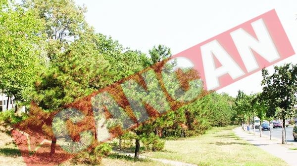 Vor sa faca blocuri turn pe 8.000 de mp de spatiu verde