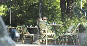 Galerie foto - poza 2