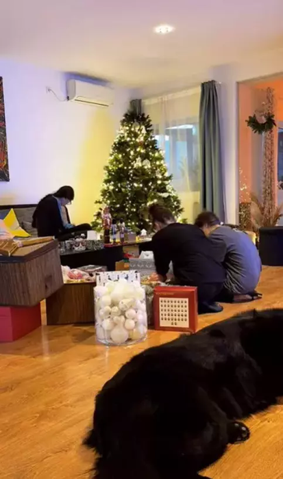 Cum arată casa lui Răzvan şi Irina Fodor? Imagini fabuloase cu vila cu două etaje