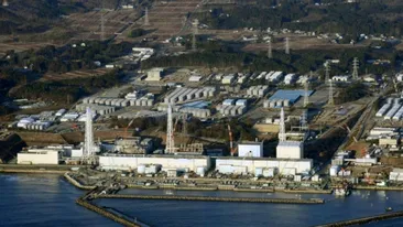 Un şobolan a provocat o pană de curent la centrala nucleară Fukushima!