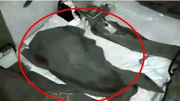 Au făcut amor la Ferma de pe Pro Tv! Ce au surprins camerele cu infraroșu