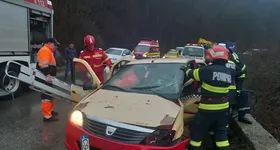 Galerie foto - poza 2