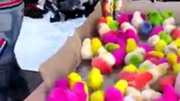 Nici in felicitarile de Paste nu ai vazut asemenea pui colorati! Uite ce imagini a surprins milionarul Dan Nicorescu in vacanta!