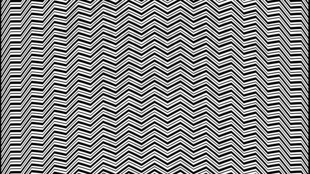 Iluzie optică virală | Identificați animalul ascuns în această fotografie!