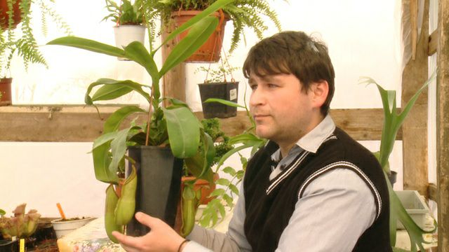 Adrian a construit o seră pentru plantele lui carnivore