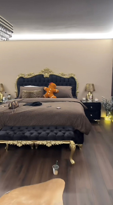 Cum arată casa lui Iorga? Sursă foto: TikTok
