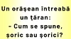BANCUL ZILEI | „Cum se spune: șoric sau șorici?”