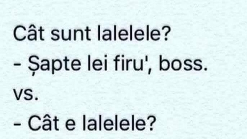 BANCUL ZILEI | "Cât sunt lalelele?" "7 lei firu', boss!"