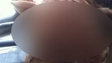 SOC! Ce a fatat o vaca intr-o ferma din SUA! Proprietara animalului era sa lesine: Nu mi-a venit sa cred