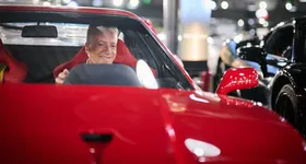 Galerie foto - poza 2