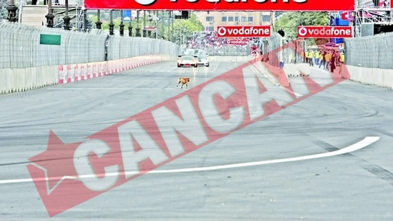 Eliza a lu' Limba a pus mana pe tovarasul lui Videanu