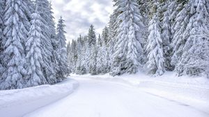 Cod galben de ger în România! Zonele în care ciclonul aduce ninsori, viscol și temperaturi de -20 de grade Celsius de azi