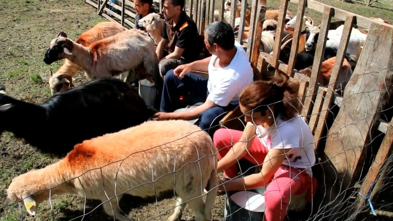 Sâmbra Oilor, obicei pe cale de dispariție. Un oșean își organizează propria Sâmbră, ca să fie sigur că sunt respectate tradițiile