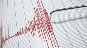 Cutremur în Buzău, la 3 km de Nehoiu. Este al şaptelea, de la începutul lunii