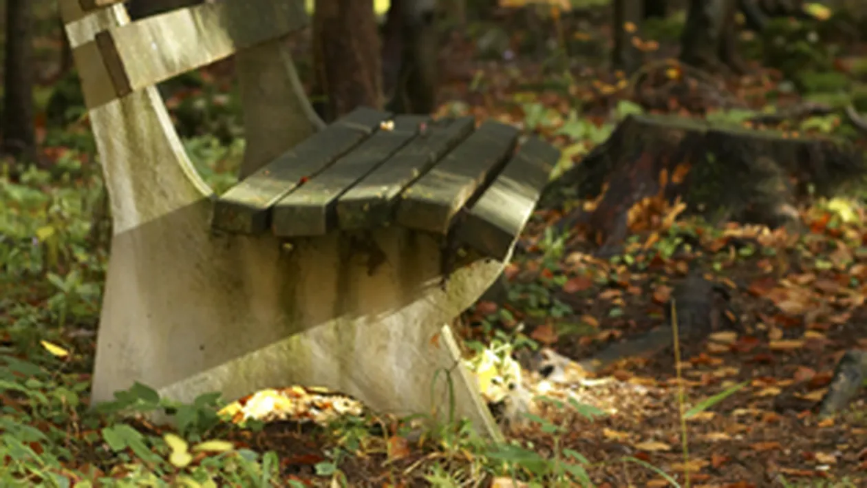 A murit pe banca din fata casei spulberat de o masina