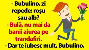 BANC | "Bulă, nu mai da banii aiurea pe trandafiri!"