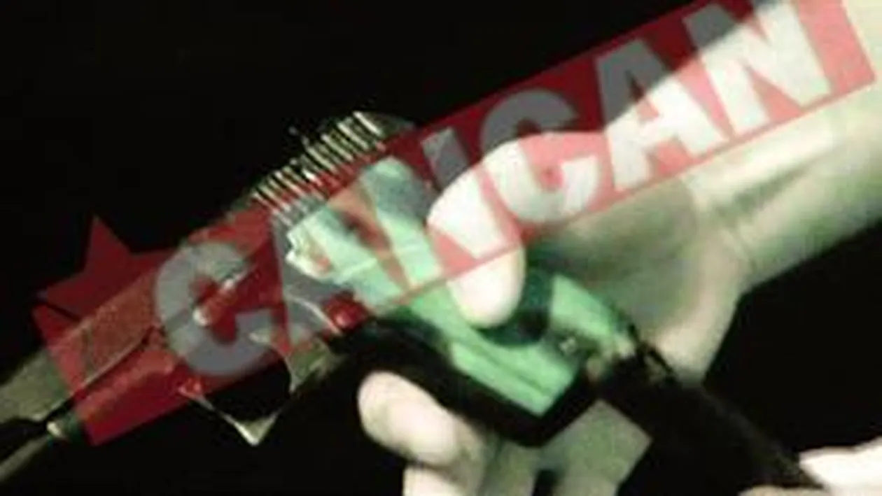 Grenade Si pistoale, In casele a doi frati agresivi