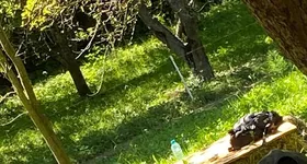 Galerie foto - poza 3