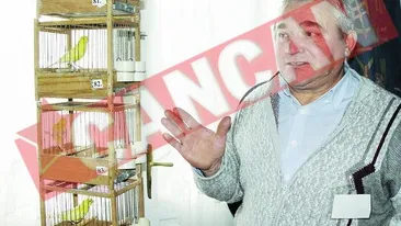 Are cei mai guralivi canari din Tara