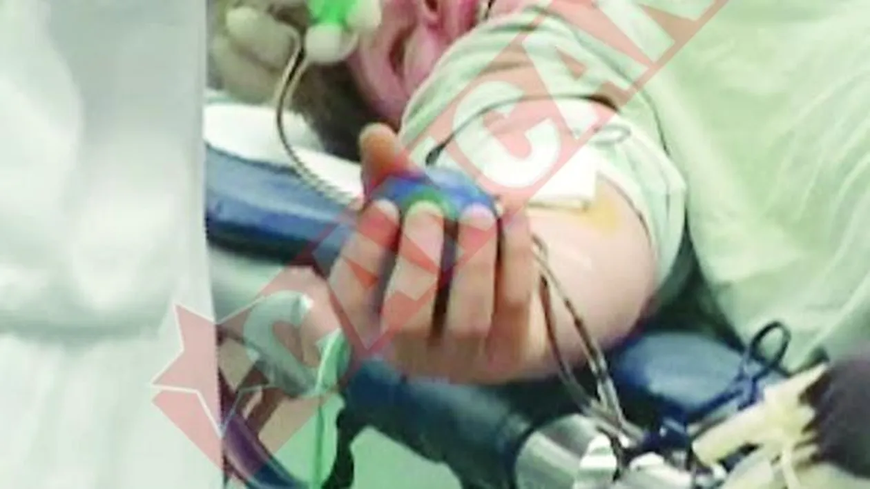 Tinuta in viata cu sange de cal si iepure