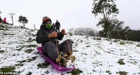 Galerie foto - poza 2