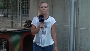 VIDEO Moment penibil pentru o reportera din Romania! Ce a patit in timp ce prezenta o stire: "S-a p***t pe mine! Bai, nene!"