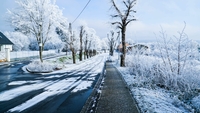 Iarnă cum nu a mai fost în Europa. Facturile la energie ar putea exploda
