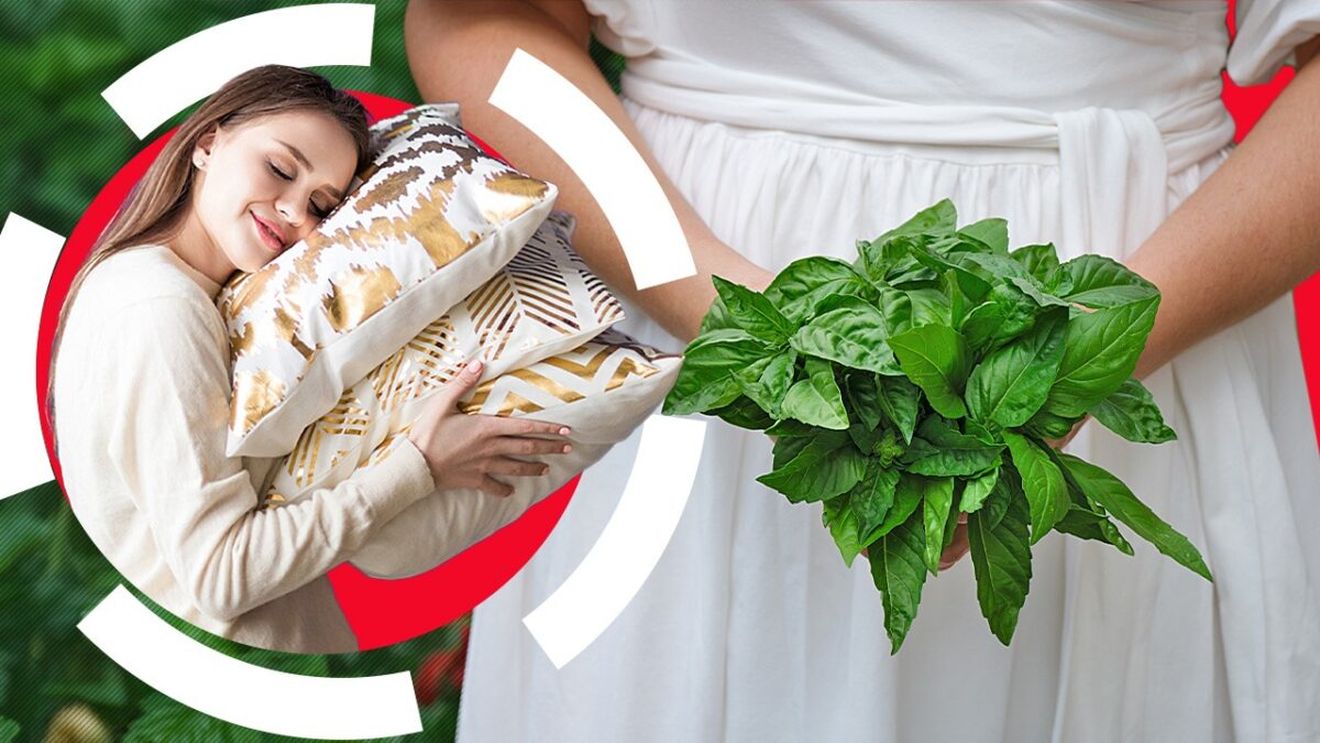 Când trebuie să pui busuioc sub pernă, de Bobotează. Ce e musai să facă fetele nemăritate