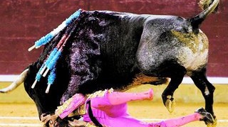 Toreador mutilat de tauri-a bagat coarnele in ochi