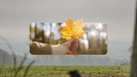 Prognoza meteo azi, 28 septembrie 2026. Toamna își arată colții în România! Unde scad temperaturile la 3 grade și ce regiuni mai prind 26 de grade