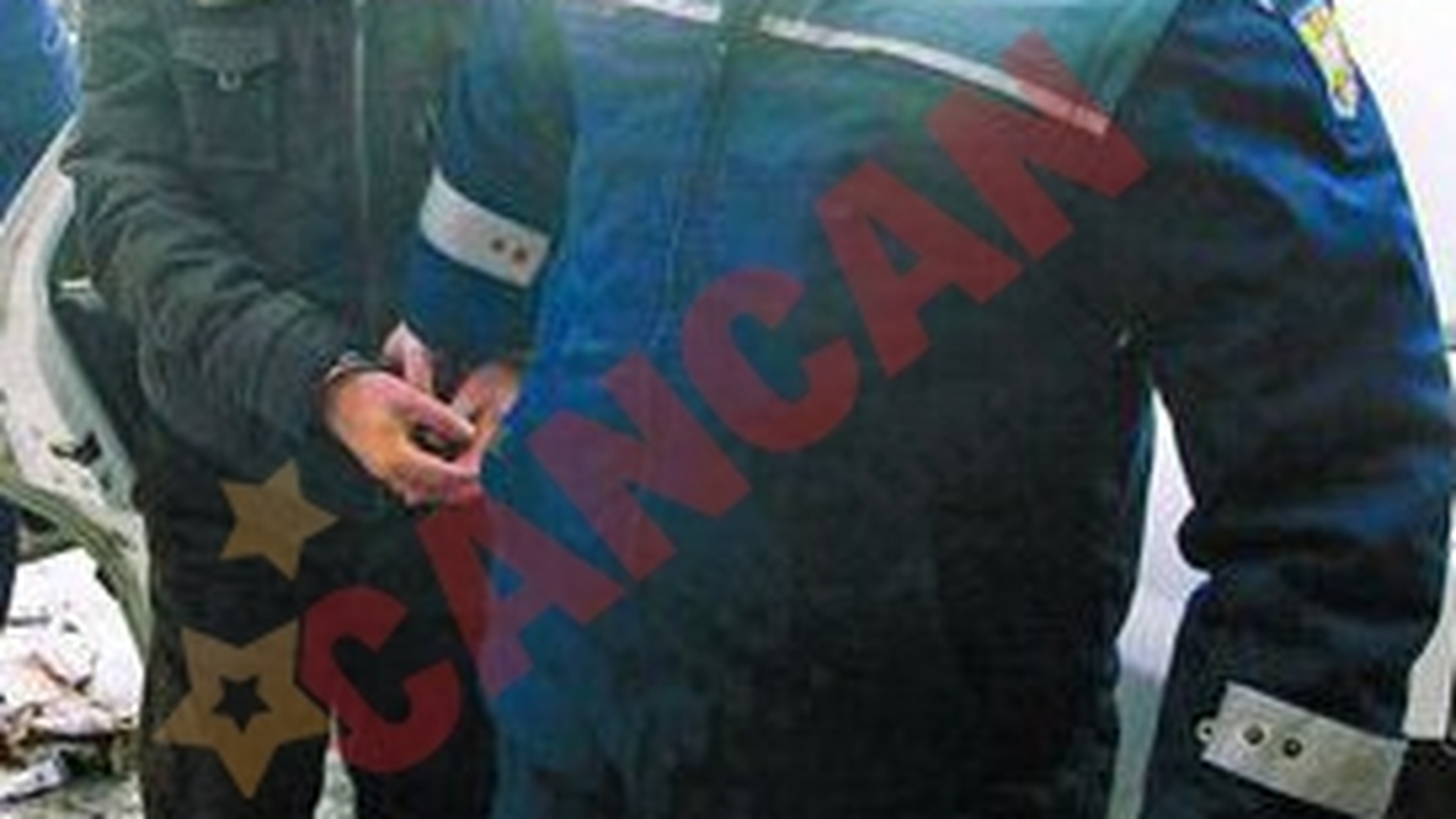 Sergiu Bahaian, parasit de avocat