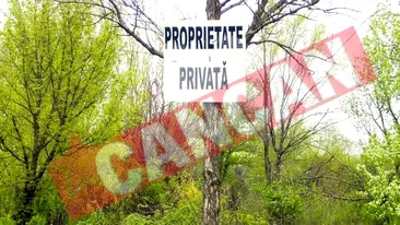 Bucurestiul isi pierde parcurile