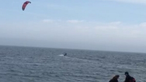 Chiar daca vremea nu a tinut cu turistii aflati pe litoral, unii au gasit metode de a se distra!
