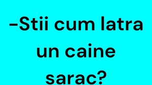 Bancul începutului de săptămână | Cum latră un câine sărac