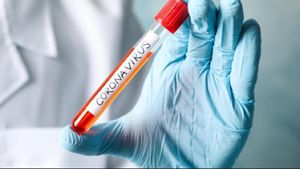 Româncele ucise de coronavirus în Italia au fost aduse în România și înmormântate fără preot, în secret