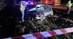 Galerie foto - poza 4