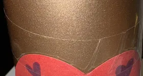 Galerie foto - poza 3