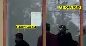 Galerie foto - poza 4