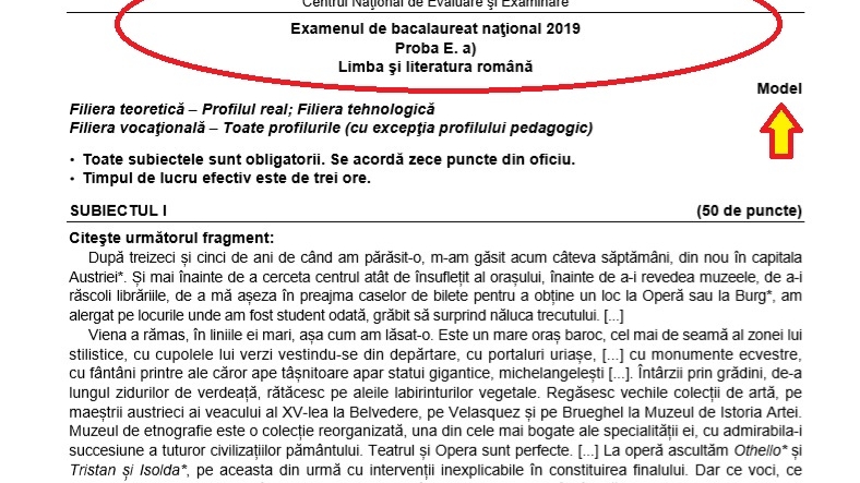 Bacalaureat 2019. Absolvenții de liceu susțin prima probă scrisă, la Limba si literatura română