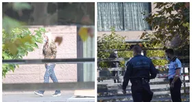 Galerie foto - poza 2