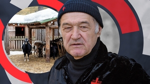 Patronul FCSB i-a îngrozit pe locuitorii unei celebre stațiuni din România! Și-a făcut stână, dar... Câinii lui Gigi Becali le-au omorât caprele și găinile!